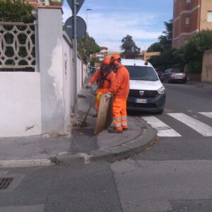 diserbo_2024
